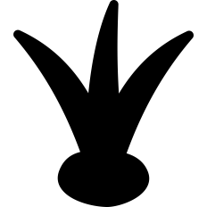 Seedling Silhouette
