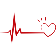 electrocardiogram heart