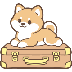 cute shiba inu puppy on a suitcase