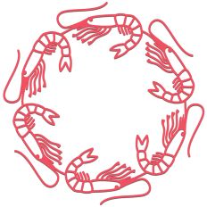 Shrimp Circle Frame Border