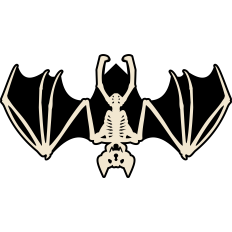 bat skeleton