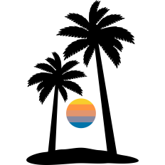 beach sunset palm tree