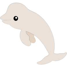 beluga whale