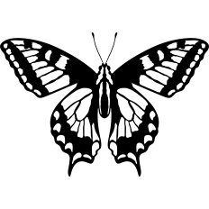 butterfly silhouette