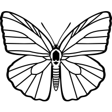 butterfly silhouette