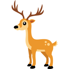 cute wild deer
