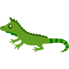 cute iguana