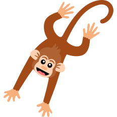 cute monkey