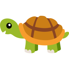 cute turtle