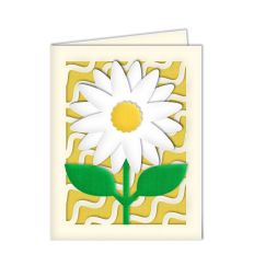 daisy card