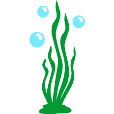 deep sea algae