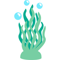deep sea algae