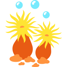 deep sea anemone