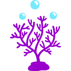 deep sea coral