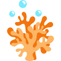 deep sea coral