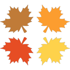 fall leaves