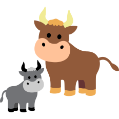 farm bulls