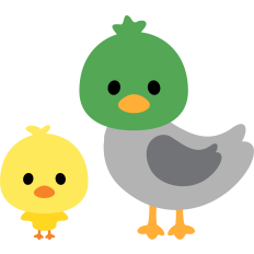 farm ducks