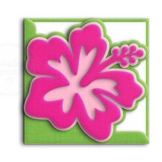 hibiscus flower card