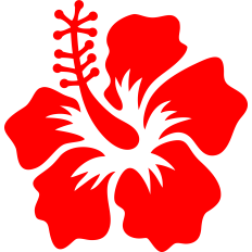 hibiscus flower