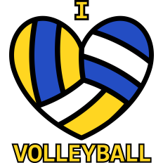 i love volleyball