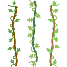 liana vine borders