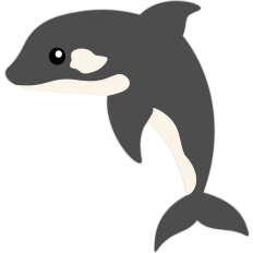 orca whale
