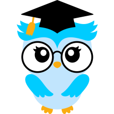 owl with cap