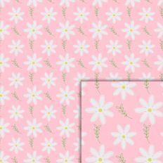 pink daisy flowers pattern