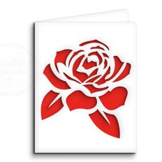 rose flower card
