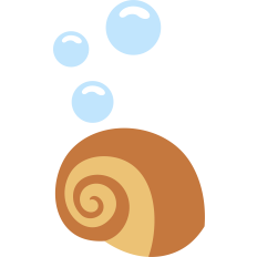 seashell and bubbles