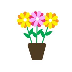 FLOWERS | PLANT POT