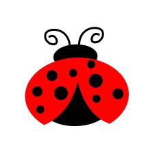 LADY BUG | INSECT SVG