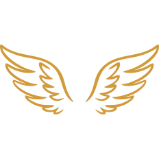simplistic wings