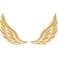 elegant wings