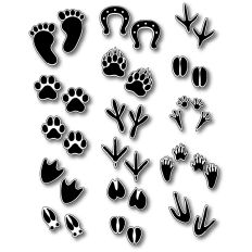 Animal Tracks Sticker Sheet