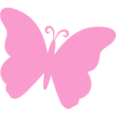 pink butterfly