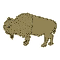 American Bison (American Buffalo) Bull Sketch