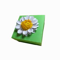Daisy Gift Box