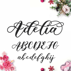 Adelia Modern Calligraphy Font