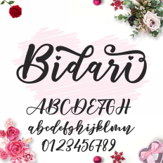 Bidari Script