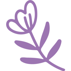simple spring purple flower