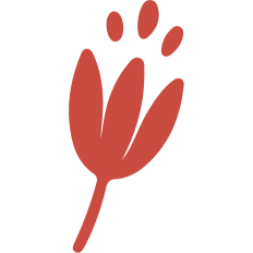 simple spring red flower