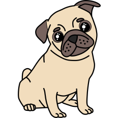 Pug Puppy