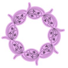 Iris Elegant Scrolling Ornamental Wreath Border Frame Sketch Design with Mat 