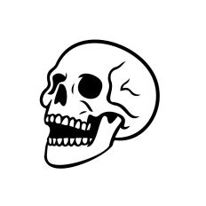 Human skull Halloween