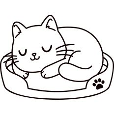 Sleeping Cat