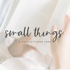 Small Things Script Font