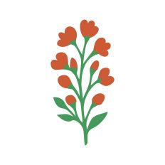 The Floral Collection - Snapdragon