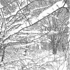 Snow Background